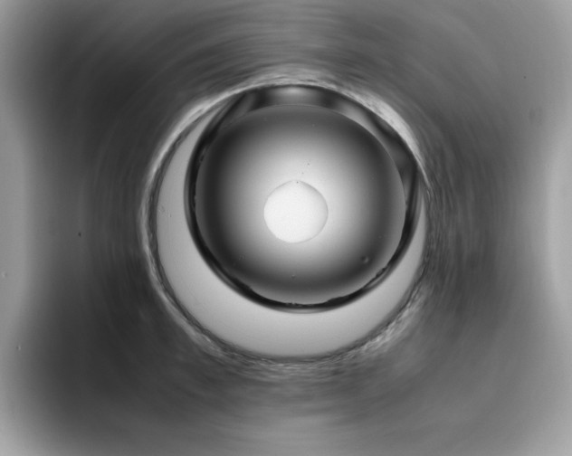 X0000094950997200711291410