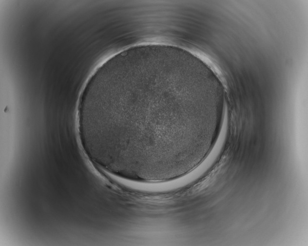 X0000094950998200711291410