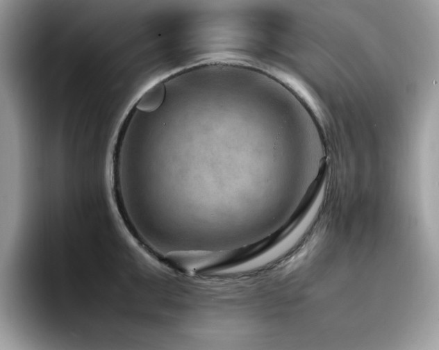 X0000094950999200711291410