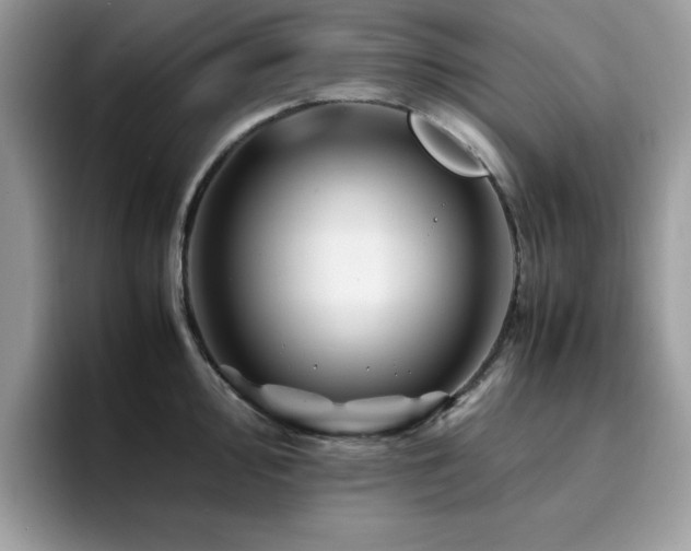 X0000094951000200711291410