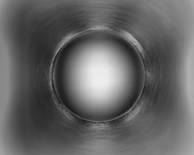 X0000094951002200711291410