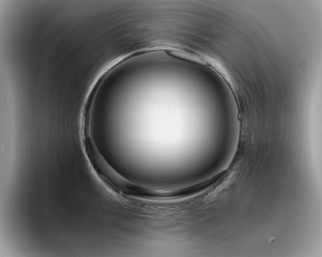 X0000094951003200711291410