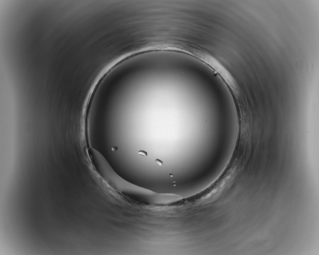X0000094951004200711291409