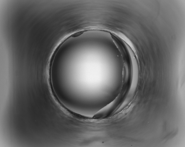 X0000094951005200711291409