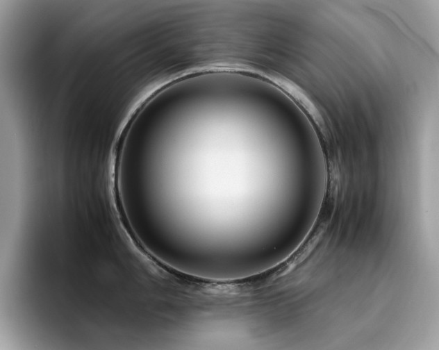 X0000094951006200711291409