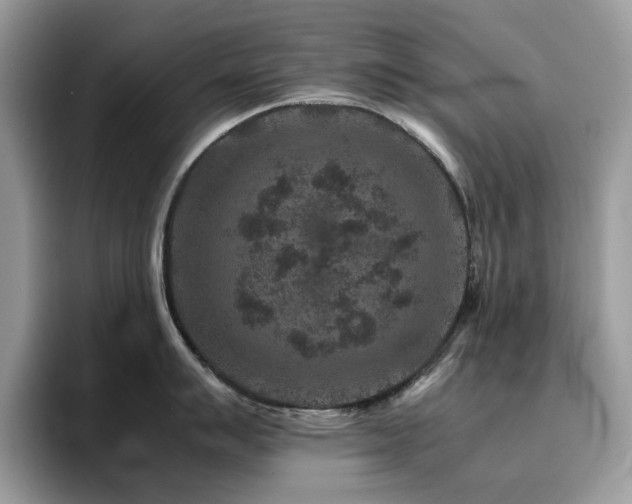 X0000094951007200711291409