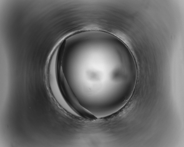 X0000094951008200711291409