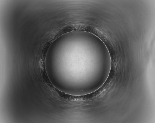 X0000094951010200711291409