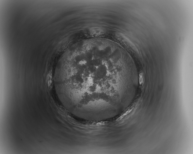 X0000094951011200711291409
