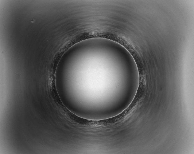 X0000094951012200711291409