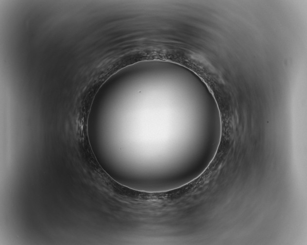 X0000094951013200711291409