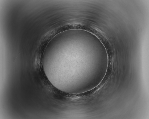 X0000094951014200711291409