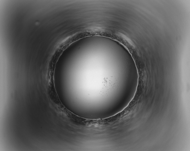X0000094951016200711291409