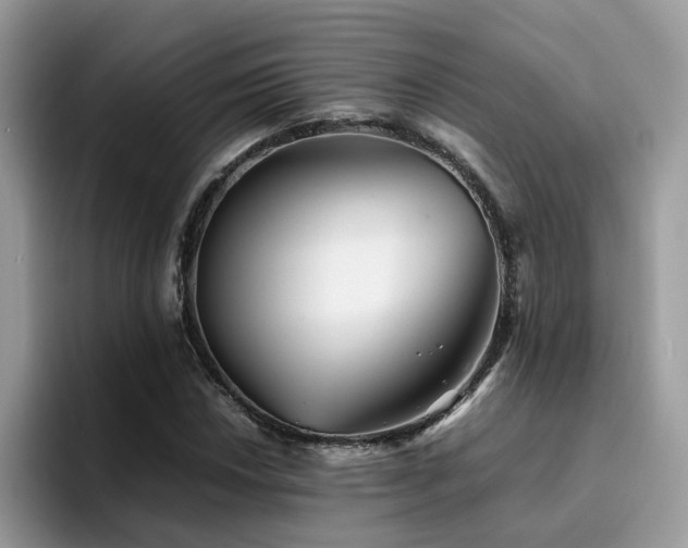 X0000094951018200711291409