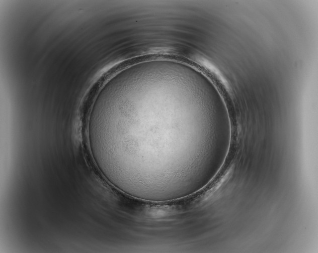 X0000094951019200711291409