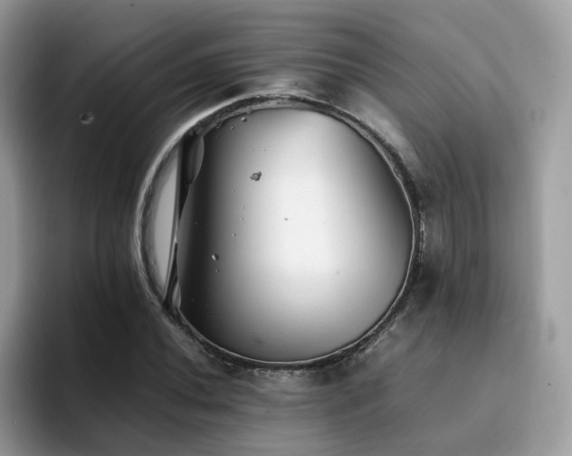 X0000094951020200711291409