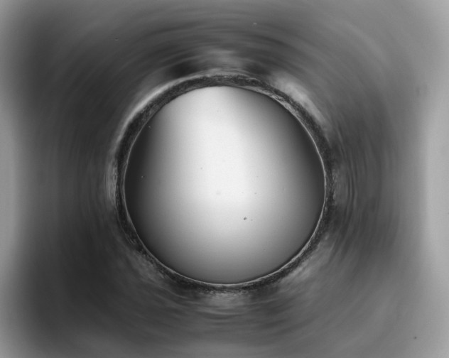 X0000094951021200711291409