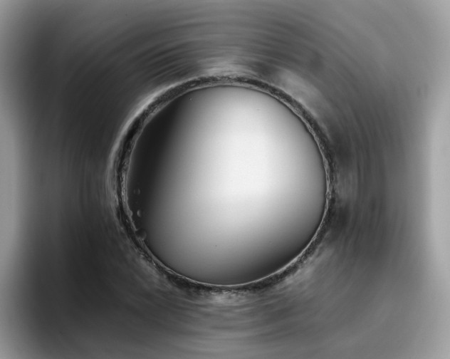 X0000094951022200711291409