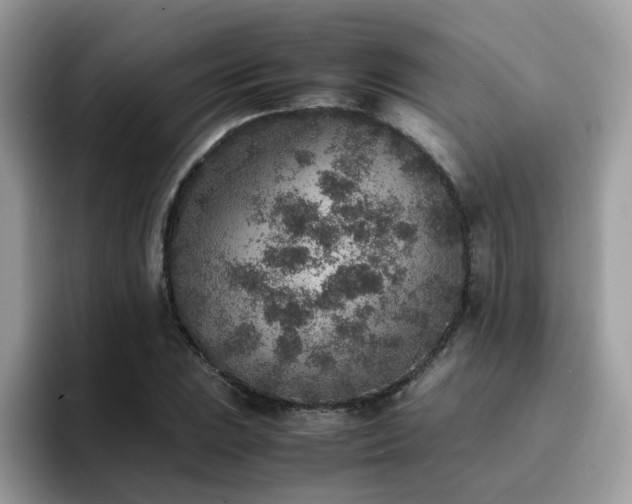 X0000094951023200711291409