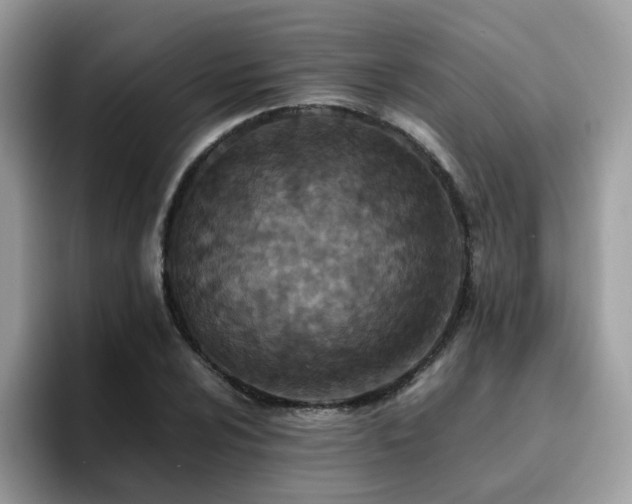 X0000094951024200711291409