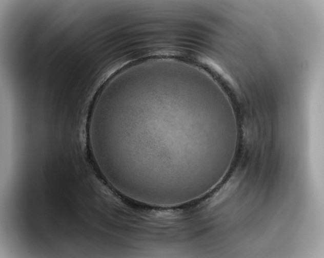 X0000094951025200711291409