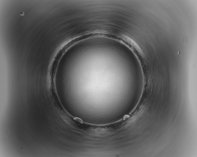X0000094951027200711291409