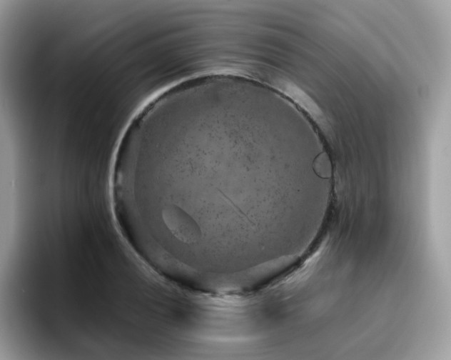 X0000094951028200711291409