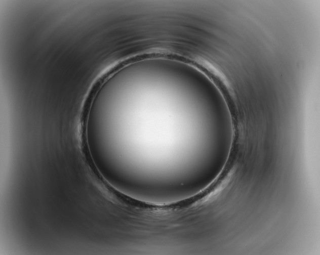 X0000094951029200711291409