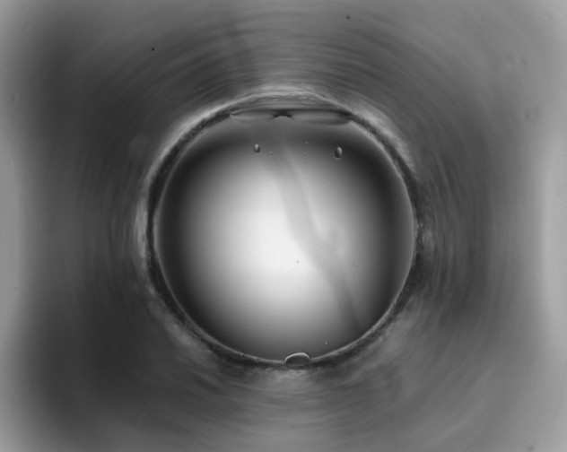 X0000094951030200711291409
