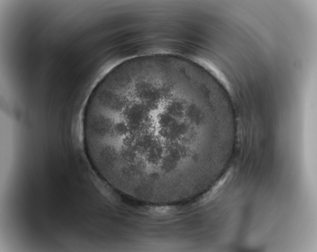 X0000094951031200711291409