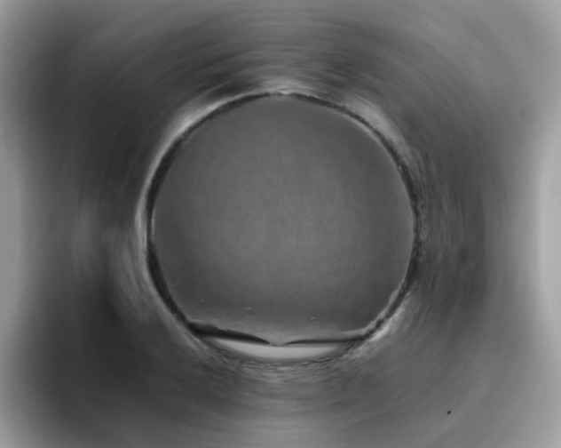 X0000094951032200711291409