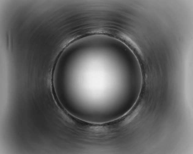 X0000094951033200711291409