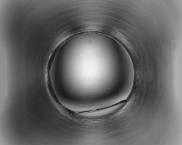 X0000094951034200711291409