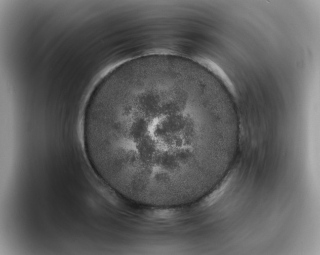 X0000094951035200711291409