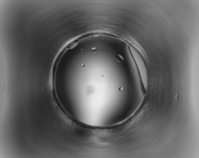 X0000094951036200711291409