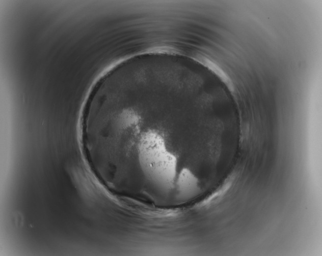 X0000094951037200711291409