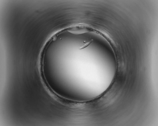 X0000094951038200711291409