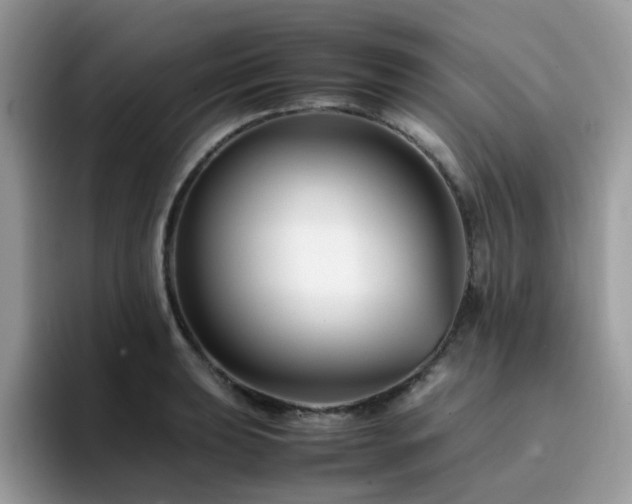 X0000094951039200711291409