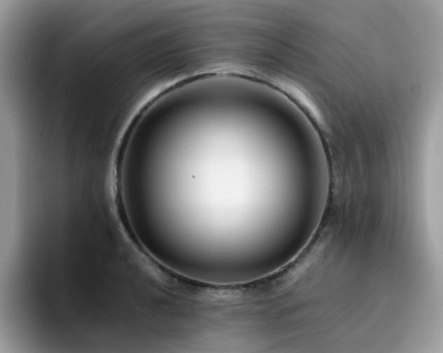X0000094951040200711291409