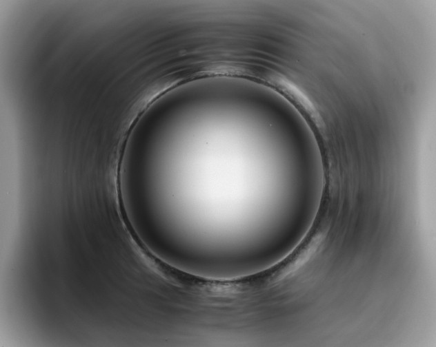 X0000094951041200711291409
