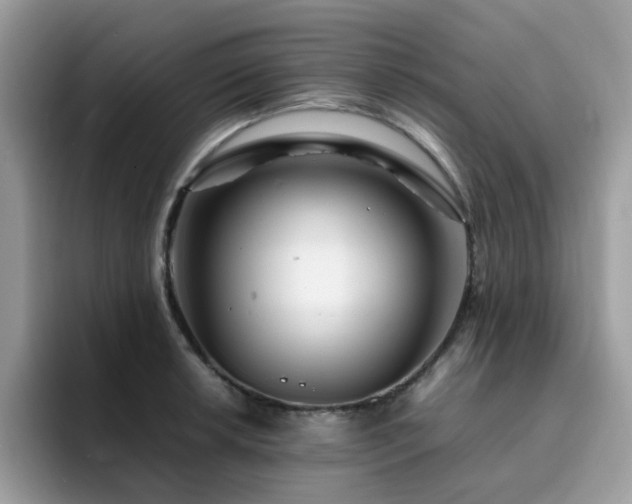 X0000094951042200711291409