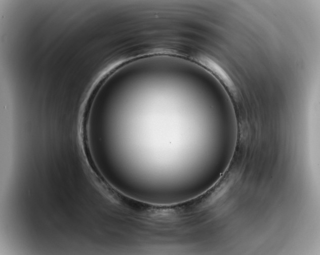 X0000094951043200711291409