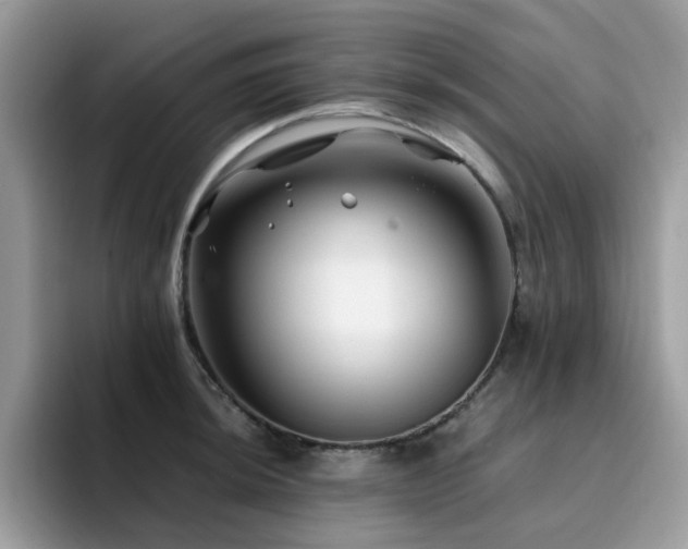X0000094951044200711291409