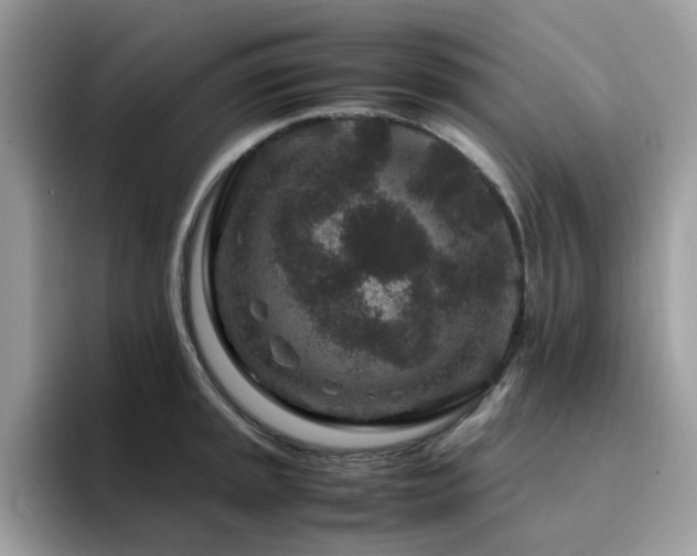 X0000094951045200711291409