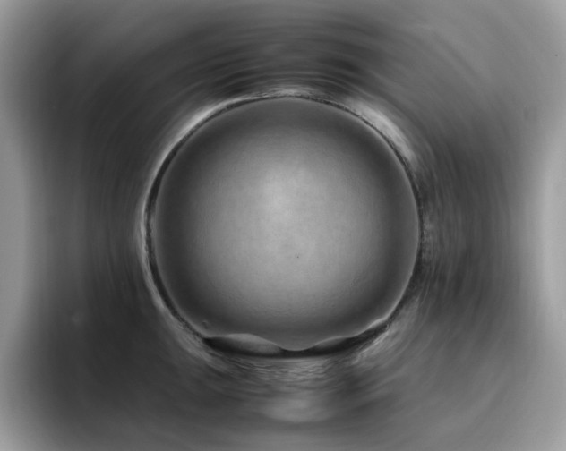 X0000094951047200711291409