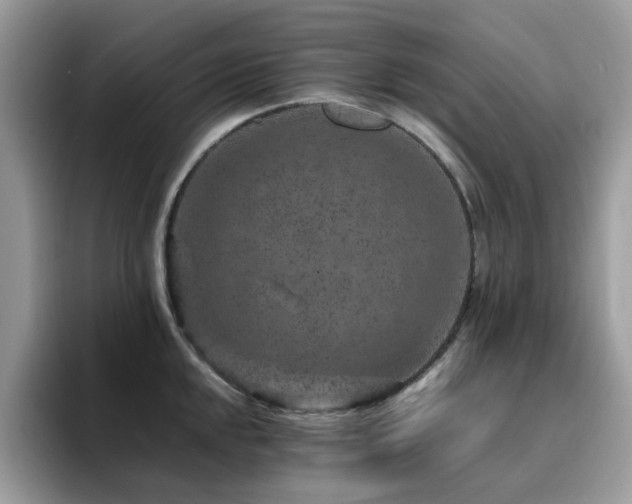 X0000094951048200711291409