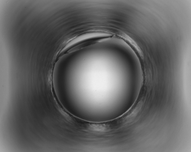 X0000094951049200711291409