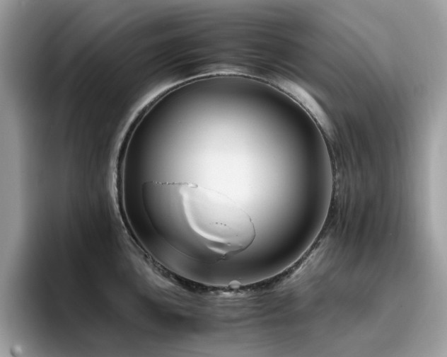 X0000094951051200711291409