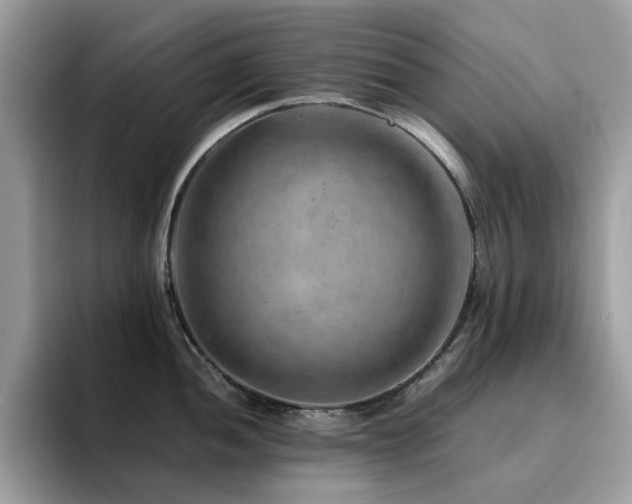 X0000094951052200711291409