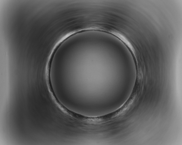 X0000094951053200711291409